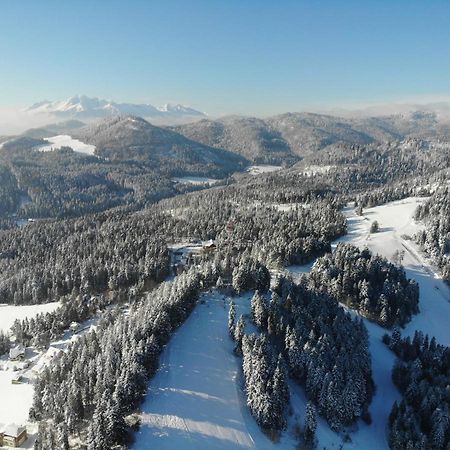 Mountain Village Apartment Pinewood *** Вишне-Ружбахи Екстер'єр фото
